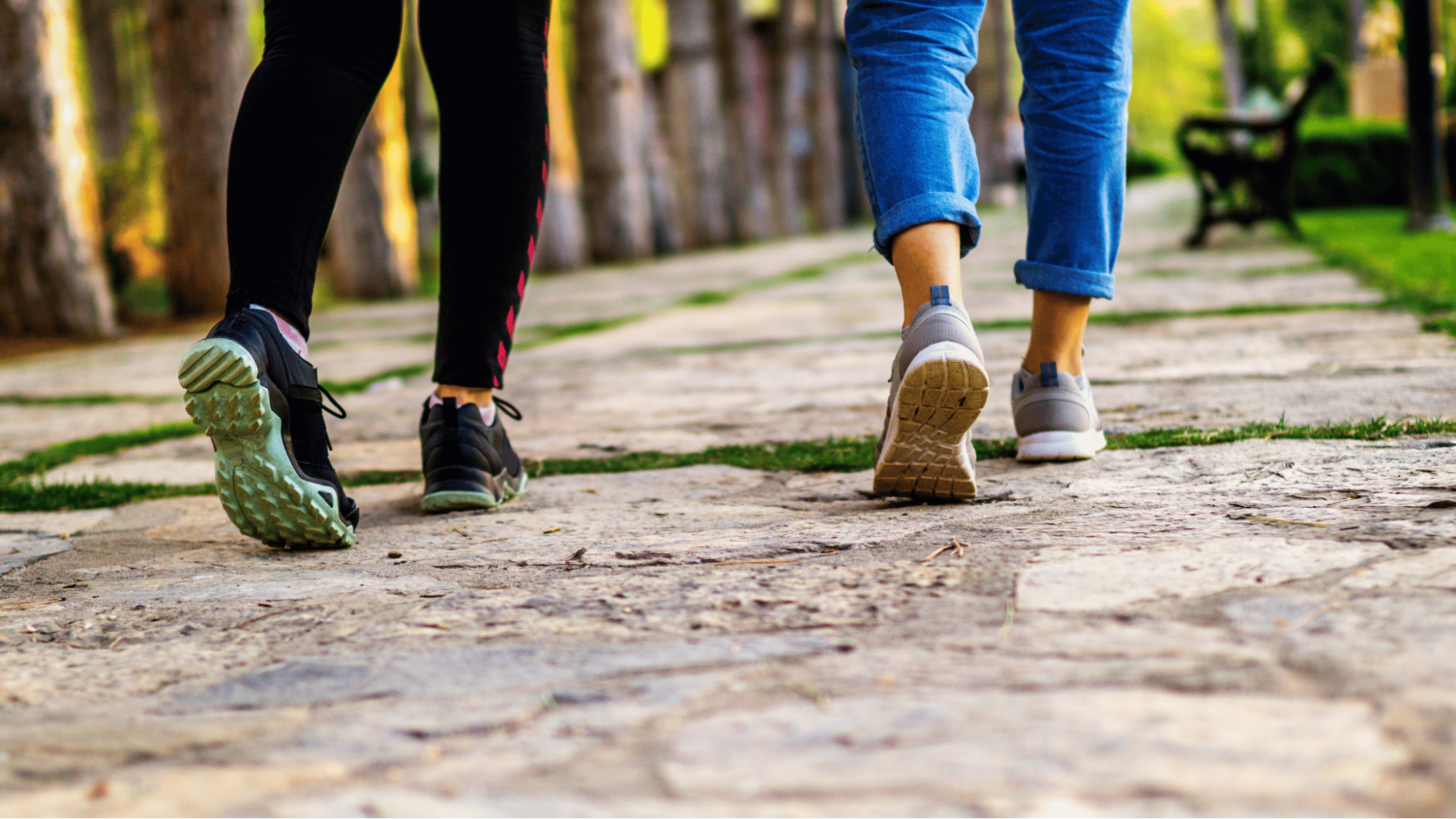 zone 2 training explained what every new personal trainer needs to know